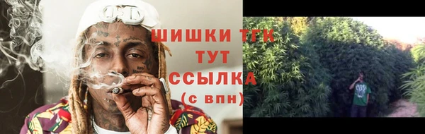 прущие крисы Армянск