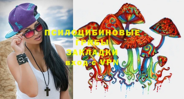 прущие крисы Армянск